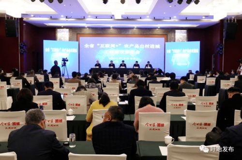 全省互聯網農產品出村進城工程建設推進會在盱眙召開，共筑農產品電商發展新藍圖